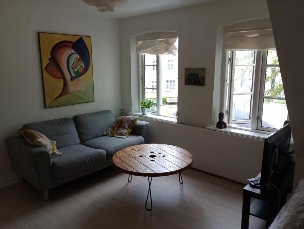 Professor Labri Apartments Odense Zewnętrze zdjęcie