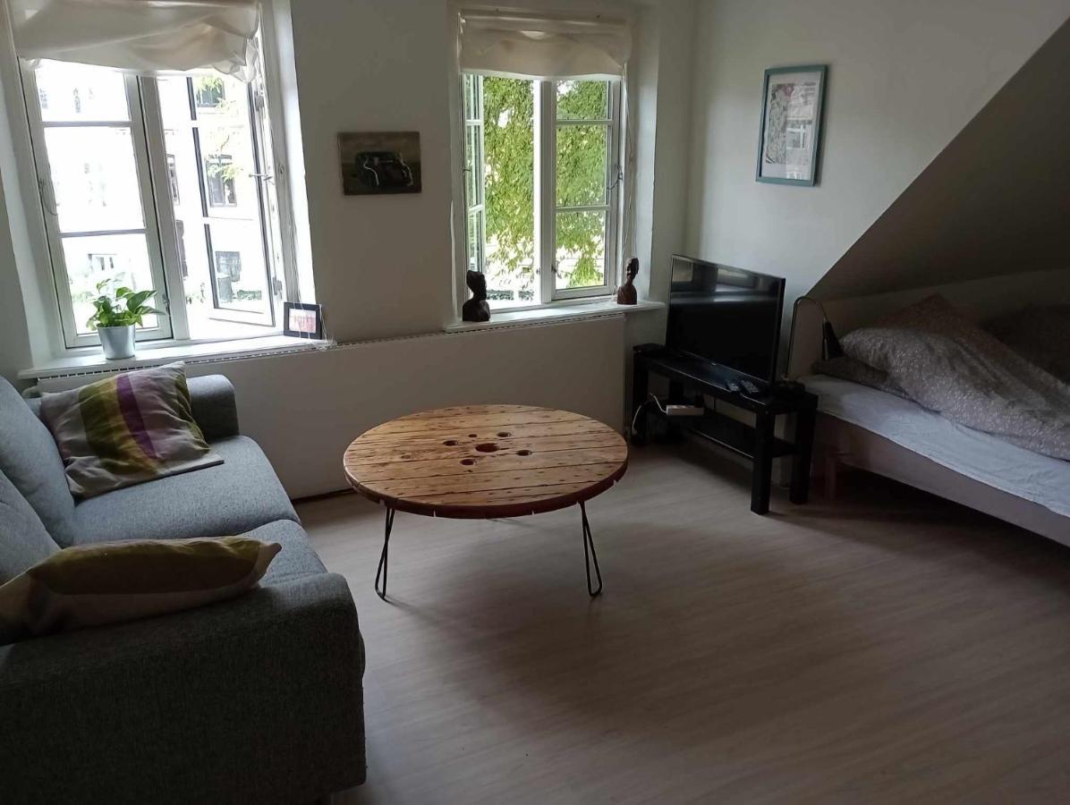 Professor Labri Apartments Odense Zewnętrze zdjęcie