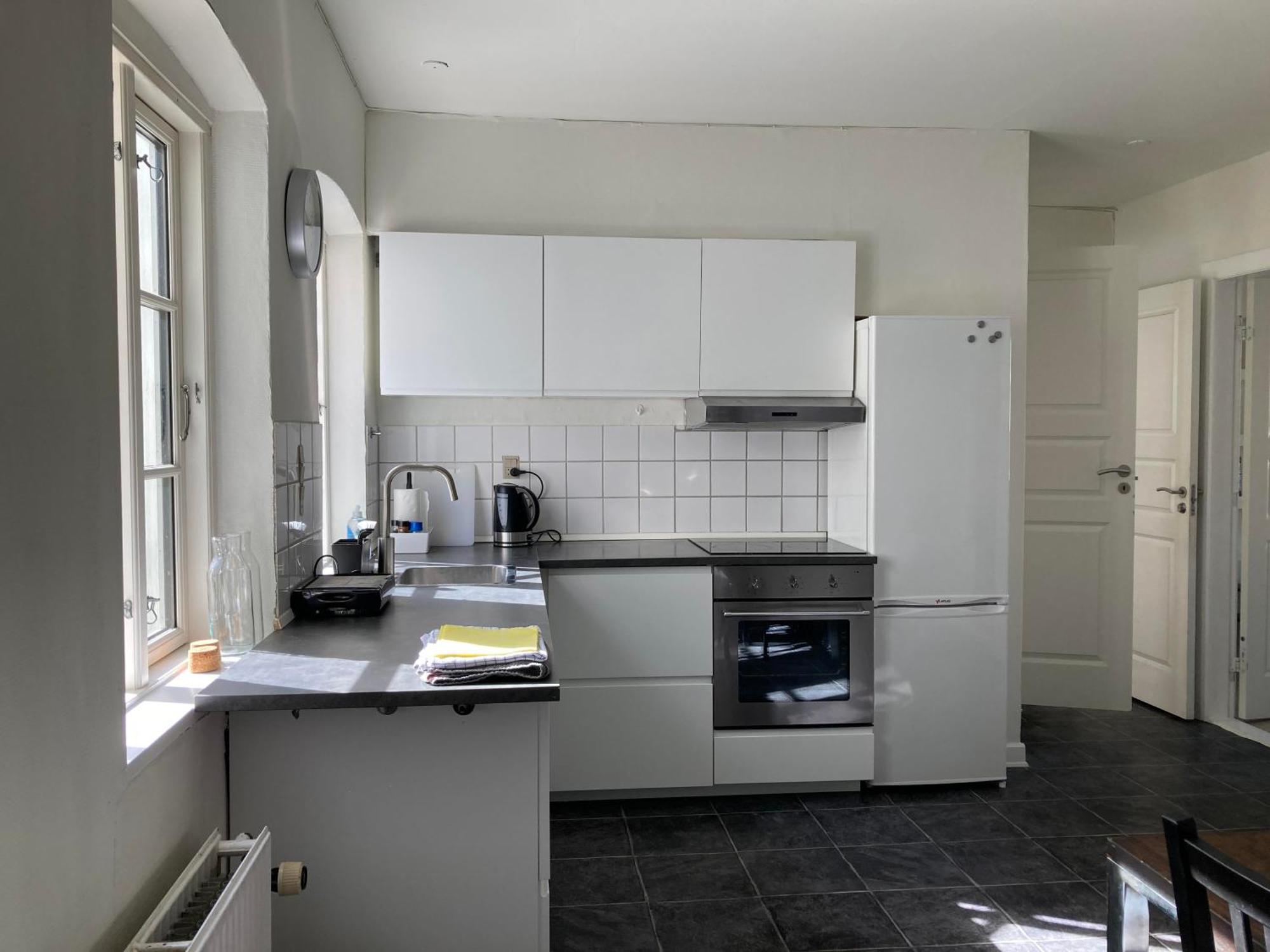 Professor Labri Apartments Odense Zewnętrze zdjęcie